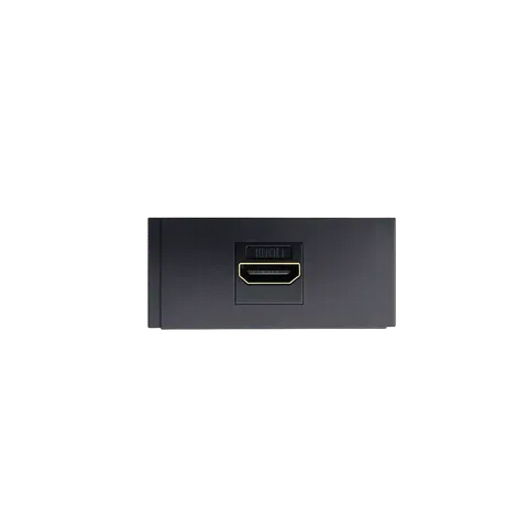 HDMI Female Insert Module, 1 HDMI FEMALE; Black; SS 04 product image