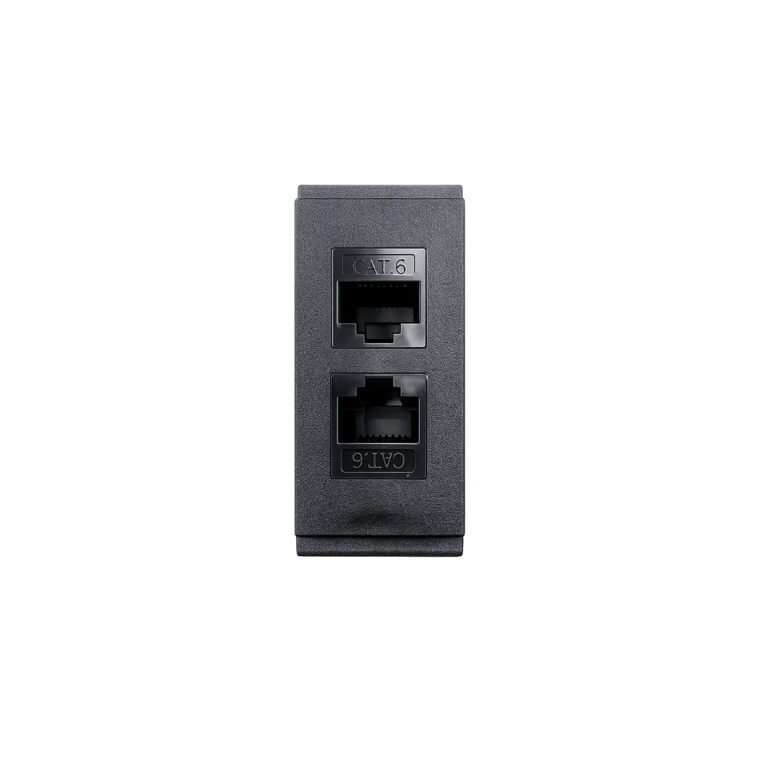 Dual RJ45 Ethernet Insert Module product image
